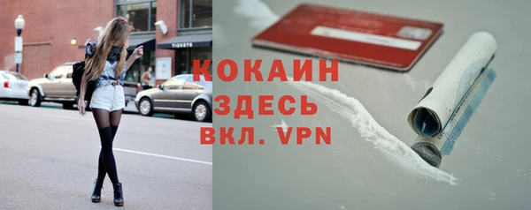 дмт Александровское