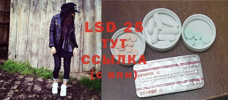 продажа наркотиков  Электросталь  LSD-25 экстази ecstasy 