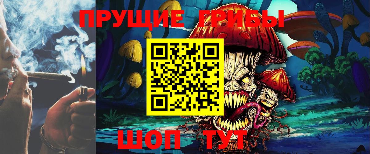 Псилоцибиновые грибы мухоморы Электросталь