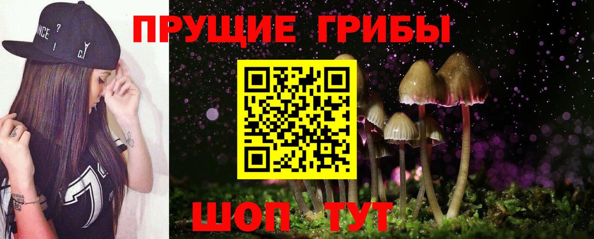Электросталь  Псилоцибиновые грибы ЛСД  Вход с VPN 